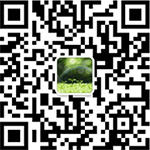 關注你附近